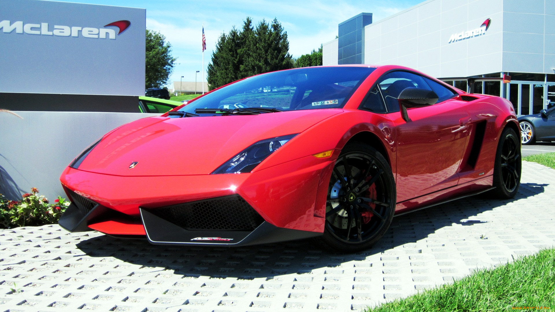 lamborghini, gallardo, , automobili, s, p, a, , 
